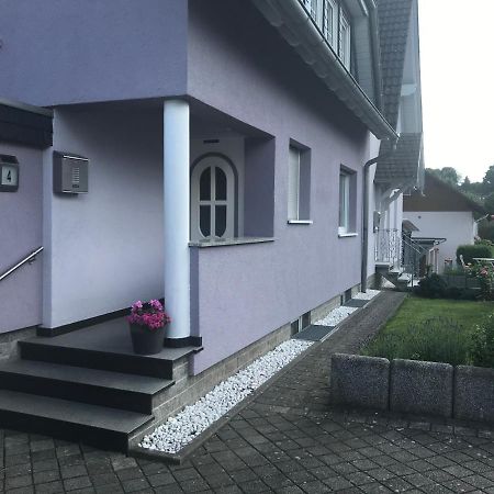Ferien-/Monteurwohnung Am Ring Steinau an der Straße Extérieur photo